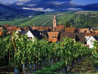 Thu alsace