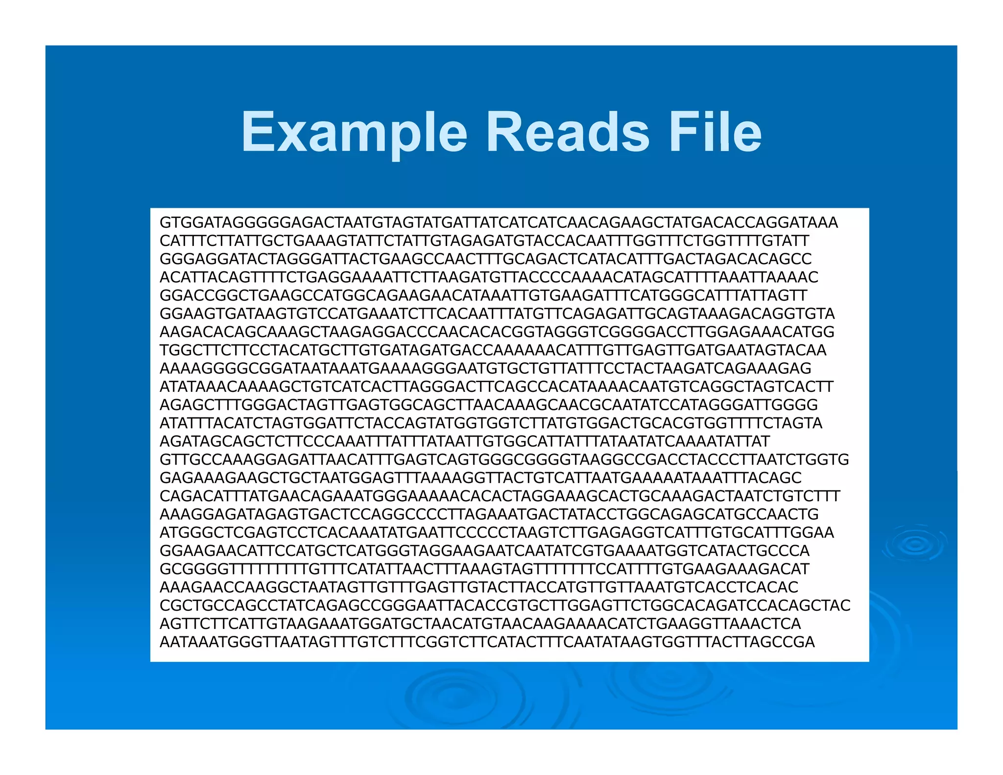 Example Reads File
GTGGATAGGGGGAGACTAATGTAGTATGATTATCATCATCAACAGAAGCTATGACACCAGGATAAA
CATTTCTTATTGCTGAAAGTATTCTATTGTAGAGATGTACCACAATTTGGTTTCTGGTTTTGTATT
GGGAGGATACTAGGGATTACTGAAGCCAACTTTGCAGACTCATACATTTGACTAGACACAGCC
ACATTACAGTTTTCTGAGGAAAATTCTTAAGATGTTACCCCAAAACATAGCATTTTAAATTAAAAC
GGACCGGCTGAAGCCATGGCAGAAGAACATAAATTGTGAAGATTTCATGGGCATTTATTAGTT
GGAAGTGATAAGTGTCCATGAAATCTTCACAATTTATGTTCAGAGATTGCAGTAAAGACAGGTGTA
AAGACACAGCAAAGCTAAGAGGACCCAACACACGGTAGGGTCGGGGACCTTGGAGAAACATGG
TGGCTTCTTCCTACATGCTTGTGATAGATGACCAAAAAACATTTGTTGAGTTGATGAATAGTACAA
AAAAGGGGCGGATAATAAATGAAAAGGGAATGTGCTGTTATTTCCTACTAAGATCAGAAAGAG
ATATAAACAAAAGCTGTCATCACTTAGGGACTTCAGCCACATAAAACAATGTCAGGCTAGTCACTT
AGAGCTTTGGGACTAGTTGAGTGGCAGCTTAACAAAGCAACGCAATATCCATAGGGATTGGGG
ATATTTACATCTAGTGGATTCTACCAGTATGGTGGTCTTATGTGGACTGCACGTGGTTTTCTAGTA
AGATAGCAGCTCTTCCCAAATTTATTTATAATTGTGGCATTATTTATAATATCAAAATATTAT
GTTGCCAAAGGAGATTAACATTTGAGTCAGTGGGCGGGGTAAGGCCGACCTACCCTTAATCTGGTG
GAGAAAGAAGCTGCTAATGGAGTTTAAAAGGTTACTGTCATTAATGAAAAATAAATTTACAGC
CAGACATTTATGAACAGAAATGGGAAAAACACACTAGGAAAGCACTGCAAAGACTAATCTGTCTTT
AAAGGAGATAGAGTGACTCCAGGCCCCTTAGAAATGACTATACCTGGCAGAGCATGCCAACTG
ATGGGCTCGAGTCCTCACAAATATGAATTCCCCCTAAGTCTTGAGAGGTCATTTGTGCATTTGGAA
GGAAGAACATTCCATGCTCATGGGTAGGAAGAATCAATATCGTGAAAATGGTCATACTGCCCA
GCGGGGTTTTTTTTTGTTTCATATTAACTTTAAAGTAGTTTTTTTCCATTTTGTGAAGAAAGACAT
AAAGAACCAAGGCTAATAGTTGTTTGAGTTGTACTTACCATGTTGTTAAATGTCACCTCACAC
CGCTGCCAGCCTATCAGAGCCGGGAATTACACCGTGCTTGGAGTTCTGGCACAGATCCACAGCTAC
AGTTCTTCATTGTAAGAAATGGATGCTAACATGTAACAAGAAAACATCTGAAGGTTAAACTCA
AATAAATGGGTTAATAGTTTGTCTTTCGGTCTTCATACTTTCAATATAAGTGGTTTACTTAGCCGA
 