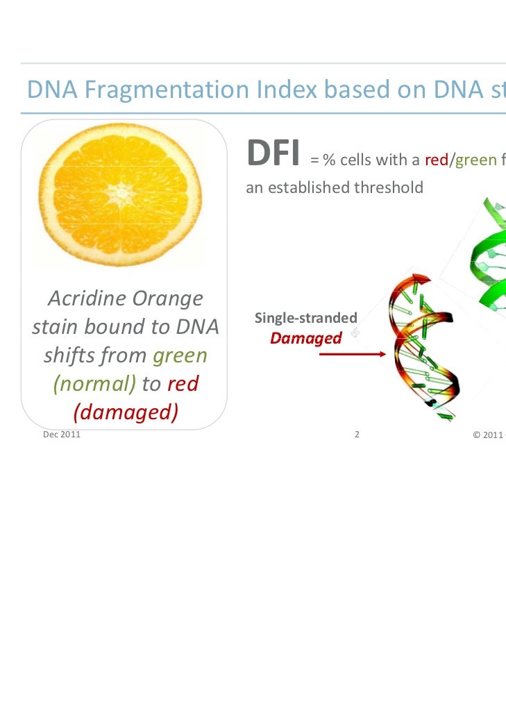 scsa determining existing fragmentation dfi