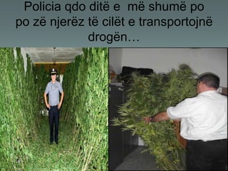 Thuani jo ! 24
Policia qdo ditë e më shumë po
po zë njerëz të cilët e transportojnë
drogën…
 