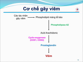 Cơ chế gây viêm
15
Các tác nhân
gây viêm
Phospholipid màng tế bào
Acid Arachidonic
Prostaglandin
Viêm
Cyclo-oxygenase
(COX1, COX2)
Phospholipase A2
 