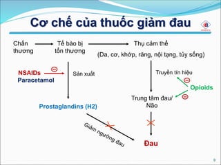 Cơ chế của thuốc giảm đau
9
Chấn
thương
Thụ cảm thể
(Da, cơ, khớp, răng, nội tạng, tủy sống)
Trung tâm đau/
NãoProstaglandins (H2)
Đau
NSAIDs Truyền tín hiệu
Tế bào bị
tổn thương
Sản xuất
Opioids
Paracetamol
 