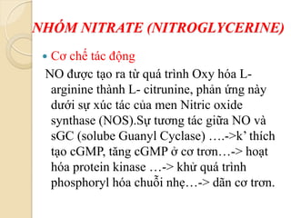 NHÓM NITRATE (NITROGLYCERINE)
 Cơ chế tác động
NO được tạo ra từ quá trình Oxy hóa L-
arginine thành L- citrunine, phản ứng này
dưới sự xúc tác của men Nitric oxide
synthase (NOS).Sự tương tác giữa NO và
sGC (solube Guanyl Cyclase) ….->k’ thích
tạo cGMP, tăng cGMP ở cơ trơn…-> hoạt
hóa protein kinase …-> khử quá trình
phosphoryl hóa chuỗi nhẹ…-> dãn cơ trơn.
 