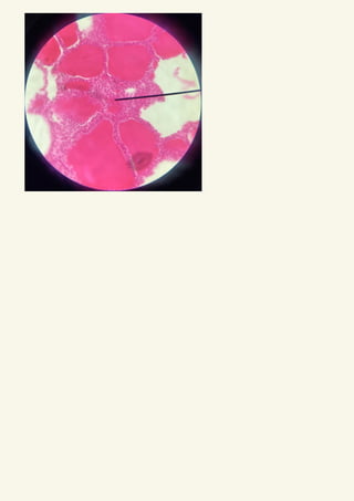 Comprehensive Histology of Epithelial and Connective Tissues with ...