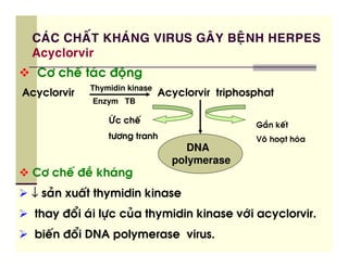 E    F                A
         . @
         "% -%
6@          <, 3 8 ) +
             Thymidin kinase
'                                    '       ,            ,
             Enzym TB

                  JK         <                         % L 2 <,
                  ,.@ + ,                                &    *,   3
                                        DNA
                                     polymerase
6@        <8 12        3 +
↓    0      <, , '               2
,    '8 7    3 .*        0 , '           2        @3      '
( < 8 7                  '
 