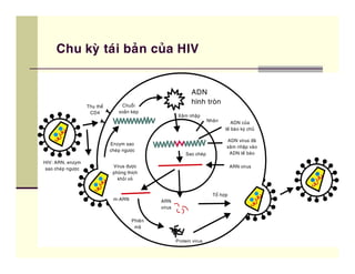D )#- 5#   #


                   "
               #       $
 