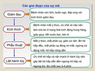 Các giai đoạn của sự mê

                  Bệnh nhân còn tỉnh, buồn ngủ, đáp ứng với
 Giảm đau
                  kích thích giảm đau


                   Bệnh nhân mất ý thức, ức chế vỏ não nên
Kích thích         làm cho bn ở trạng thái kích động hung hăng,
                   giãy giụa, tiết nước bọt, nôn ói

                   Mất ý thức, mất phản xạ, giãn cơ vân. Bn hô
Phẫu thuật         hấp đều, mất phản xạ đóng mi mắt, ngừng cử
                   động mắt, hô hấp nông dần

                   Ức chế hô hấp và vận mạch ở hành tủy nên
Liệt hành tủy      gây liệt hô hấp dẫn đến ngừng hô hấp và
                   ngừng tim. Bn chết sau 3-4 phút
 