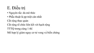 E. Điều trị
• Nguyên tắc: đa mô thức
• Phẫu thuật là pp triệt căn nhất
Cắt rộng thực quản
Cắt rộng tổ chức liên kết vét hạch rộng
TTTQ trong cùng 1 thì
Mổ hợp lý giảm nguy cơ tử vong và biến chứng
 