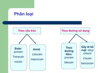 Phân loại


    Theo cấu trúc         Theo đường sử dụng




                             Theo     Gây tê bề
Ester:        Amid:
                            đường     mặt: ethyl
procain
              Lidocain       tiêm:     chlorid
Tetracain                   procain
             mepivicain                 Cocain
 cocain                    lidocain   benzocain
 