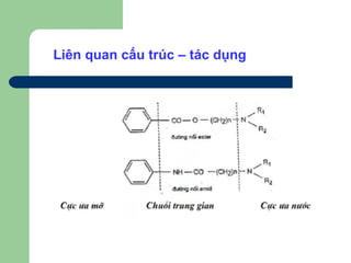 Liên quan cấu trúc – tác dụng
 
