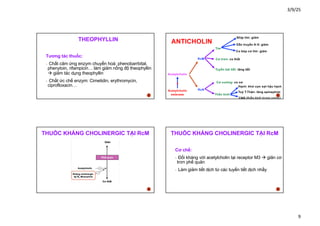 Comprehensive Overview of Asthma Pathophysiology and Pharmacological ...