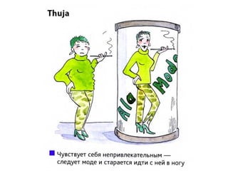 Thuja - гомеопатия в картинках