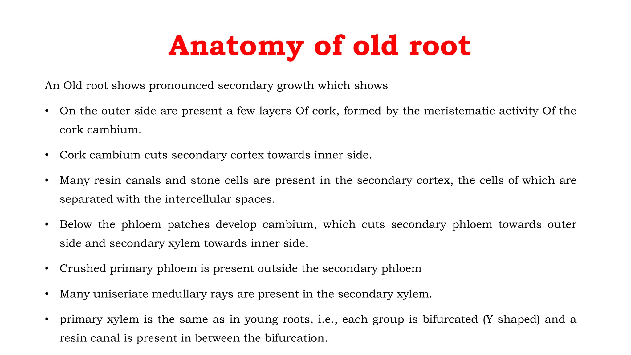 Anatomy of old root
An Old root shows pronounced secondary growth which shows
• On the outer side are present a few layers Of cork, formed by the meristematic activity Of the
cork cambium.
• Cork cambium cuts secondary cortex towards inner side.
• Many resin canals and stone cells are present in the secondary cortex, the cells of which are
separated with the intercellular spaces.
• Below the phloem patches develop cambium, which cuts secondary phloem towards outer
side and secondary xylem towards inner side.
• Crushed primary phloem is present outside the secondary phloem
• Many uniseriate medullary rays are present in the secondary xylem.
• primary xylem is the same as in young roots, i.e., each group is bifurcated (Y-shaped) and a
resin canal is present in between the bifurcation.
 