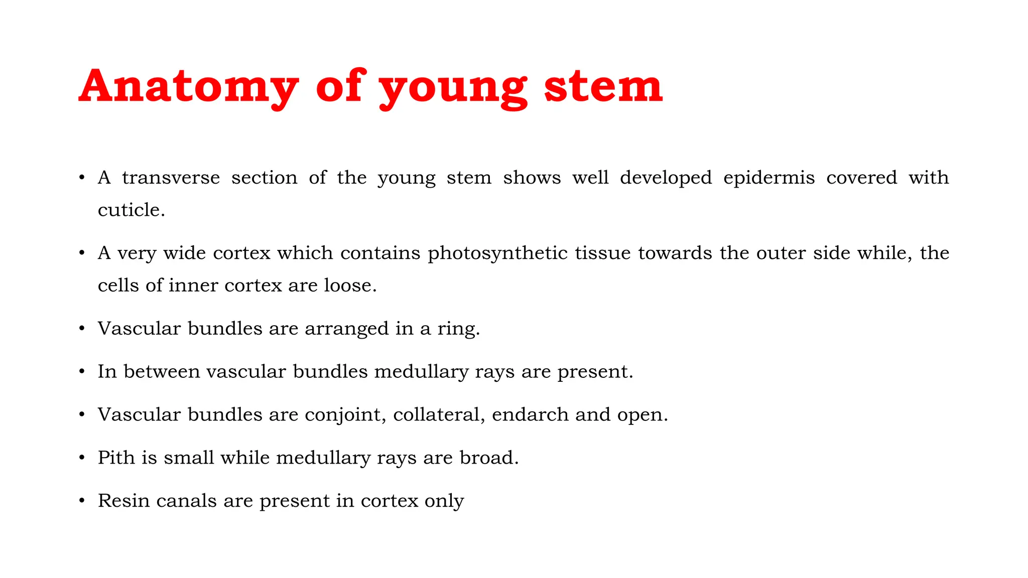 Anatomy of young stem
• A transverse section of the young stem shows well developed epidermis covered with
cuticle.
• A very wide cortex which contains photosynthetic tissue towards the outer side while, the
cells of inner cortex are loose.
• Vascular bundles are arranged in a ring.
• In between vascular bundles medullary rays are present.
• Vascular bundles are conjoint, collateral, endarch and open.
• Pith is small while medullary rays are broad.
• Resin canals are present in cortex only
 