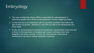 Embryology
 The zone of polarizing activity (ZPA) is responsible for anteroposterior or
radio/ulnar growth and is driven by the expression of sonic hedgehog protein.
 It is the first axis to be established with its orientation predetermined before the
start of limb bud growth. Alterations in the ZPA can lead to the development of a
mirror hand.
 Finally, the dorsal ectoderm controls the dorsal/volar characteristics of the limb and
is driven by the expression of wingless-type mouse mammary tumor virus
integration site family member 7a (Wnt-7a). Disturbances of this axis of
development may lead to palmar duplication syndrome
 