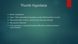 Thumb Hypolasia
 Blauth classification
 Type I : Minor generalised hypoplasia usually affecting thenar muscles
 May present later in life as hand function becomes intricate
 May warrant treatment
 If the opposition is causing functional difficulties a tendon transfer is
recommended
 