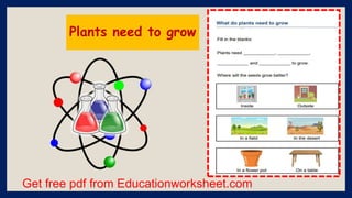 Get free pdf from Educationworksheet.com
Plants need to grow
 