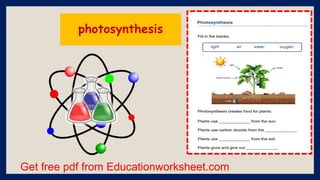 Get free pdf from Educationworksheet.com
photosynthesis
 