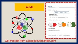 Get free pdf from Educationworksheet.com
seeds
 