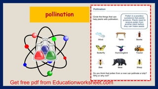 Get free pdf from Educationworksheet.com
pollination
 