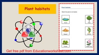 Get free pdf from Educationworksheet.com
Plant habitats
 