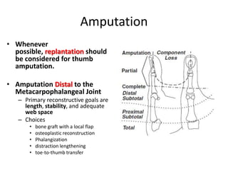 Amputation
• Whenever
possible, replantation should
be considered for thumb
amputation.
• Amputation Distal to the
Metacarpophalangeal Joint
– Primary reconstructive goals are
length, stability, and adequate
web space
– Choices
• bone graft with a local flap
• osteoplastic reconstruction
• Phalangization
• distraction lengthening
• toe-to-thumb transfer
 