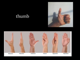 Thumb reconstruction | PPTX