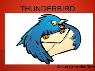 THUNDERBIRD
Jesus Gonzalez Toro
 