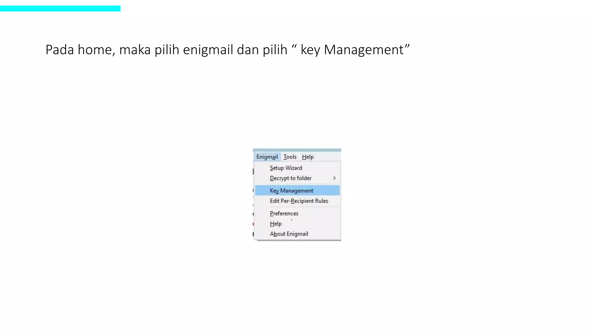 Pada home, maka pilih enigmail dan pilih “ key Management”
 