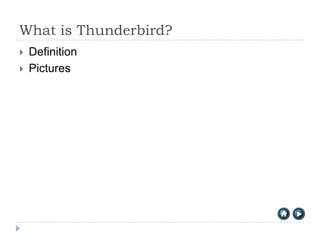 What is Thunderbird?
   Definition
   Pictures
 