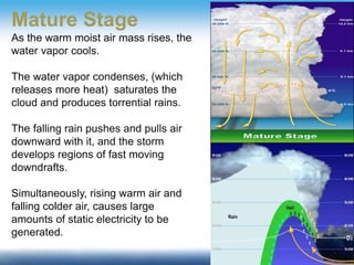 Mature Stage
As the warm moist air mass rises, the
water vapor cools.
The water vapor condenses, (which
releases more heat) saturates the
cloud and produces torrential rains.
The falling rain pushes and pulls air
downward with it, and the storm
develops regions of fast moving
downdrafts.
Simultaneously, rising warm air and
falling colder air, causes large
amounts of static electricity to be
generated.
 