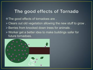 The good effects of tornadoes are .
Clears out old vegetation allowing the new stuff to grow .
Berries from knocked down trees for animals .
Worker get a better idea to make buildings safer for
future tornadoes.
 