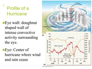 +
    Profile of a
    Hurricane
Eye  wall: doughnut
 shaped wall of
 intense convective
 activity surrounding
 the eye.
Eye: Center of
 hurricane where wind
 and rain cease
 