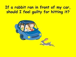 If a rabbit ran in front of my car, should I feel guilty for hitting it? 