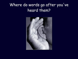 Where do words go after you've heard them? 