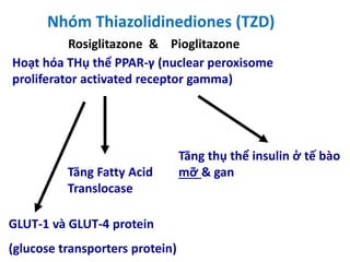 Nhóm Thiazolidinediones (TZD)
Rosiglitazone & Pioglitazone
Hoạt hóa THụ thể PPAR-γ (nuclear peroxisome
proliferator activated receptor gamma)
Tăng thụ thể insulin ở tế bào
mỡ & gan
GLUT-1 và GLUT-4 protein
(glucose transporters protein)
Tăng Fatty Acid
Translocase
 
