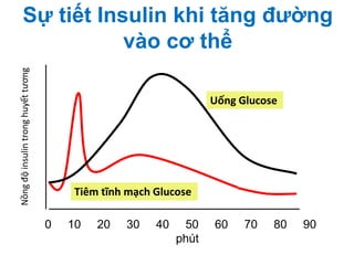 Sự tiết Insulin khi tăng đường
vào cơ thể
Nồngđộinsulintronghuyếttương
0 10 20 30 40 50 60 70 80 90
phút
Uống Glucose
Tiêm tĩnh mạch Glucose
 
