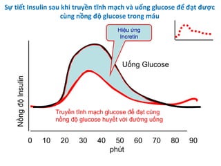 Sự tiết Insulin sau khi truyền tĩnh mạch và uống glucose để đạt được
cùng nồng độ glucose trong máu
NồngđộInsulin
0 10 20 30 40 50 60 70 80 90
phút
Uống Glucose
Truyền tĩnh mạch glucose để đạt cùng
nồng độ glucose huyết với đường uống
Hiệu ứng
Incretin
 