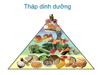 Tháp dinh dưỡng
 