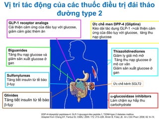 Strictly Confidential. Proprietary information of Novartis. For internal use ONLY. March 2010. GAL10.497. Novartis.
Vị trí tác động của các thuốc điều trị đái tháo
đường type 2
DDP-4=dipeptidyl peptidase-4; GLP-1=glucagon-like peptide-1; T2DM=type 2 diabetes mellitus.
Adapted from Cheng AY, Fantus IG. CMAJ. 2005; 172: 213–226. Ahrén B, Foley JE. Int J Clin Pract. 2008; 62: 8–14.
-glucosidase inhibitors
Làm chậm sự hấp thu
carbohydrate
Thiazolidinediones
Giảm ly giải mô mỡ
Tăng thu nạp glucose ở
mô cơ vân
Giảm sản xuất glucose ở
gan
Ức chế men DPP-4 (Gliptins)
Kéo dài tác dụng GLP-1 ->cải thiện cảm
ứng của đảo tụy với glucose, tăng thu
nạp glucose
Sulfonylureas
Tăng tiết insulin từ tế bào
-tụy
GLP-1 receptor analogs
Cải thiện cảm ứng của đảo tụy với glucose,
giảm cảm giác thèm ăn
Glinides
Tăng tiết insulin từ tế bào
-tụy
Ức chế kênh SGLT2
 