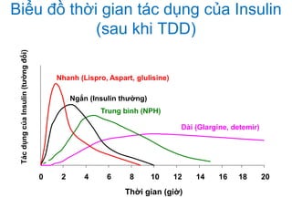 TácdụngcủaInsulin(tườngđối)
Thời gian (giờ)
0 2 4 6 8 10 12 14 16
Dài (Glargine, detemir)
18 20
Trung bình (NPH)
Ngắn (Insulin thường)
Nhanh (Lispro, Aspart, glulisine)
Biểu đồ thời gian tác dụng của Insulin
(sau khi TDD)
 