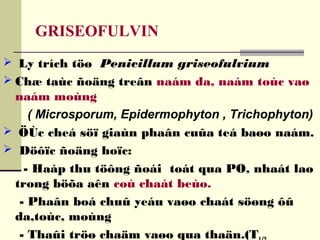 GRISEOFULVIN
 Ly trích töø Penicillum griseofulvium
 Chæ taùc ñoäng treân naám da, naám toùc vaø
naám moùng
( Microsporum, Epidermophyton , Trichophyton)
 ÖÙc cheá söï giaùn phaân cuûa teá baøo naám.
 Döôïc ñoäng hoïc:
- Haáp thu töông ñoái toát qua PO, nhaát laø
trong böõa aên coù chaát beùo.
- Phaân boá chuû yeáu vaøo chaát söøng ôû
da,toùc, moùng
- Thaûi tröø chaäm vaøo qua thaän.(T
 