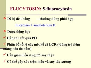 FLUCYTOSIN: 5-fluorocytosin
 Dễ bị đề kháng thường dùng phối hợp
flucytosin + amphotericin B
 Dược động học
 Hấp thu tốt qua PO
 Phân bố tốt ở các mô, kể cả LCR ( dùng trị viêm
màng não do nấm)
 Cần giảm liều ở người suy thận
 Có thể gây xáo trộn máu và suy tủy xương
 