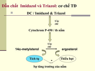 Dẫn chất Imidazol và Triazol: cơ chế TĐ
 DC / Imidazol & Triazol
Ưùc
chế
Cytochrom P-450 / tb nấm
14α-metylsterol ergosterol
Ưùc
chế
Tích tụ Thiếu hụt
Sự tăng trưởng của nấm
-
 