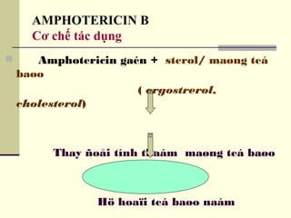 AMPHOTERICIN B
Cơ chế tác dụng
 Amphotericin gaén + sterol/ maøng teá
baøo
( ergostrerol,
cholesterol)
Thay ñoåi tính thaám maøng teá baøo
Hö hoaïi teá baøo naám
 