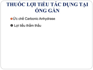 THUỐC LỢI TiỂU TÁC DỤNG TẠI
ỐNG GẦN
Ức chế Carbonic Anhydrase
 Lợi tiểu thẩm thấu
 