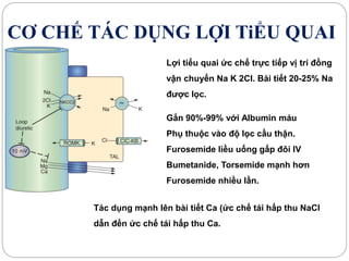 CƠ CHẾ TÁC DỤNG LỢI TiỂU QUAI
Lợi tiểu quai ức chế trực tiếp vị trí đồng
vận chuyển Na K 2Cl. Bài tiết 20-25% Na
được lọc.
Gắn 90%-99% với Albumin máu
Phụ thuộc vào độ lọc cầu thận.
Furosemide liều uống gấp đôi IV
Bumetanide, Torsemide mạnh hơn
Furosemide nhiều lần.
Tác dụng mạnh lên bài tiết Ca (ức chế tái hấp thu NaCl
dẫn đến ức chế tái hấp thu Ca.
 