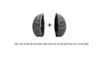 Như vậy là bạn đã tìm được mấu chốt cho vấn đề giữa não trái và não phải  