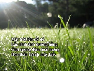 Hôm nay
sẽ thành
quá khứ
__________________ Thu
Phong
Mặt trời lên rồi đó
Lấp lánh ánh dương hồng
Giọt sương đêm hoài mong
Hóa thân thành mây biếc
 