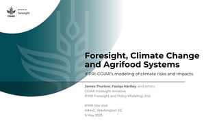 Foresight, Climate Change
and Agrifood Systems
IFPRI-CGIAR’s modeling of climate risks and impacts
James Thurlow, Faaiqa Hartley, and others
CGIAR Foresight Initiative
IFPRI Foresight and Policy Modeling Unit
IFPRI Site Visit
AIM4C, Washington DC
9 May 2023
 